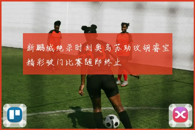 新鹏城绝杀时刻奥乌苏助攻胡睿宝精彩破门比赛随即终止