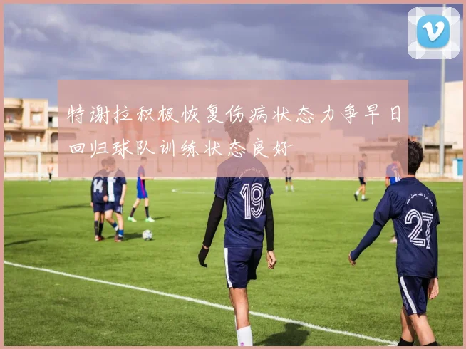 特谢拉积极恢复伤病状态力争早日回归球队训练状态良好