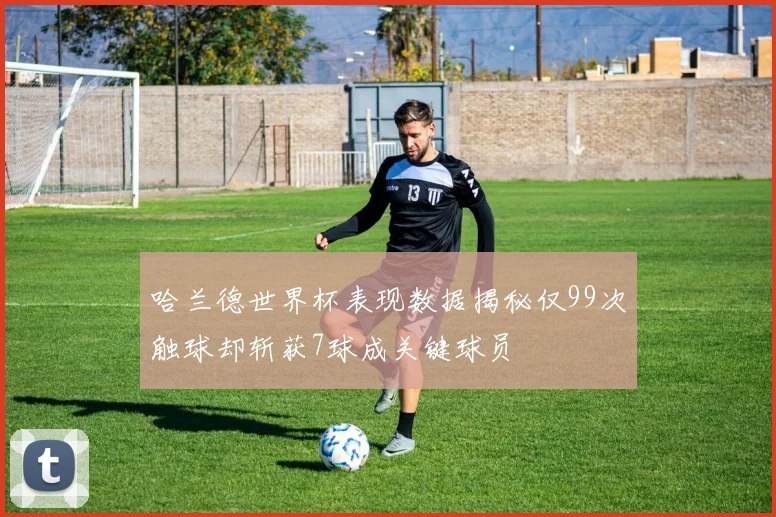 哈兰德世界杯表现数据揭秘仅99次触球却斩获7球成关键球员