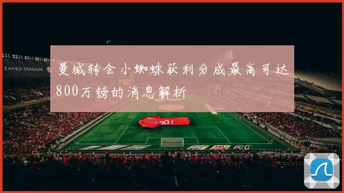 曼城转会小蜘蛛获利分成最高可达800万镑的消息解析